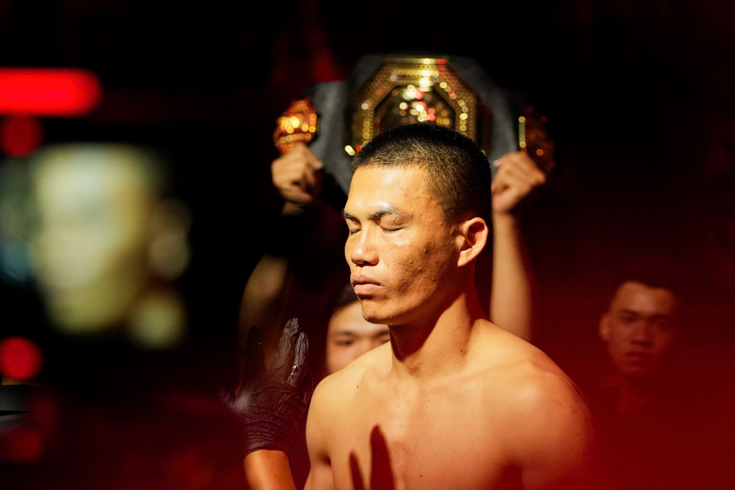 lion championship anh 1