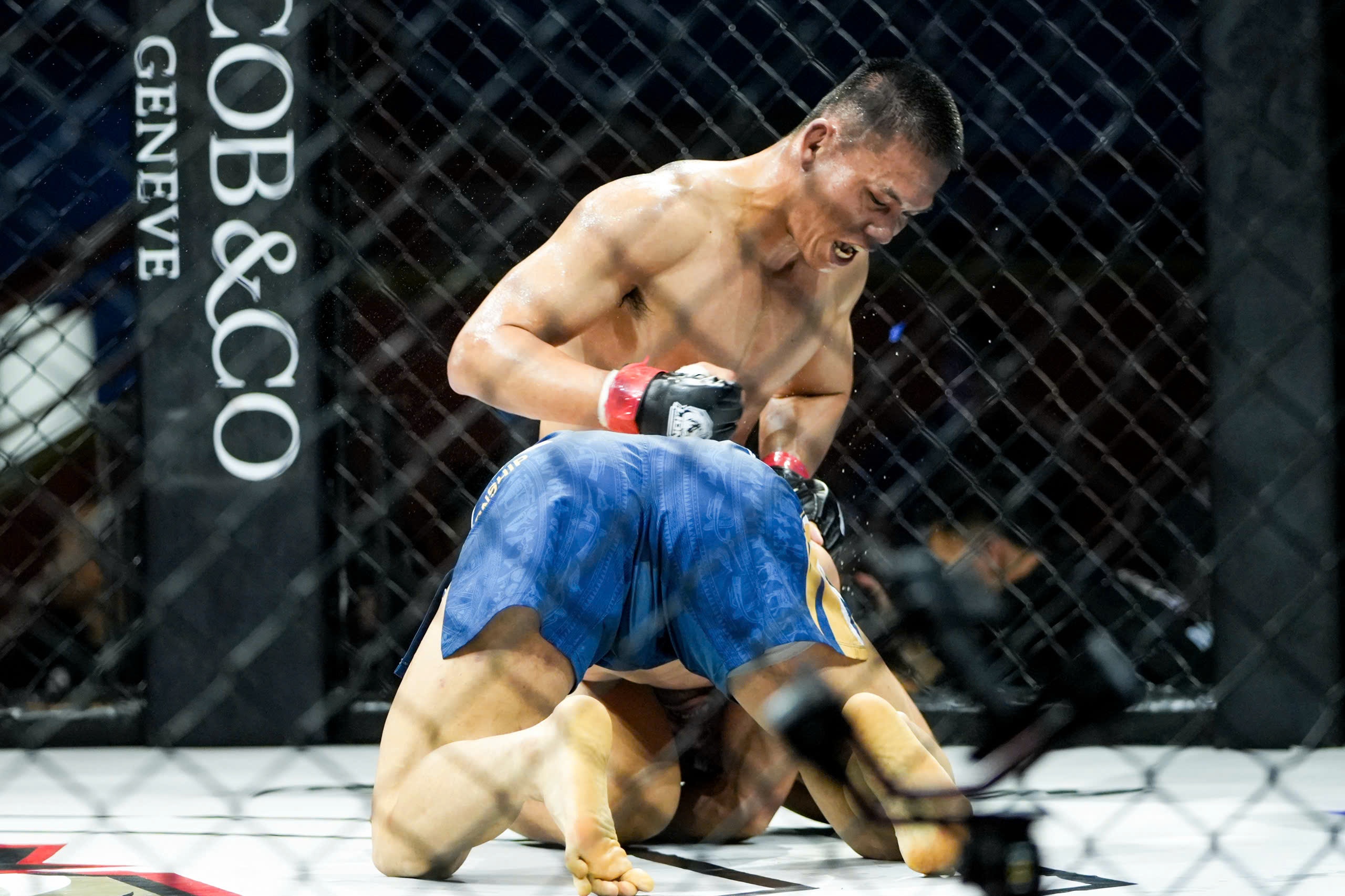 lion championship anh 6