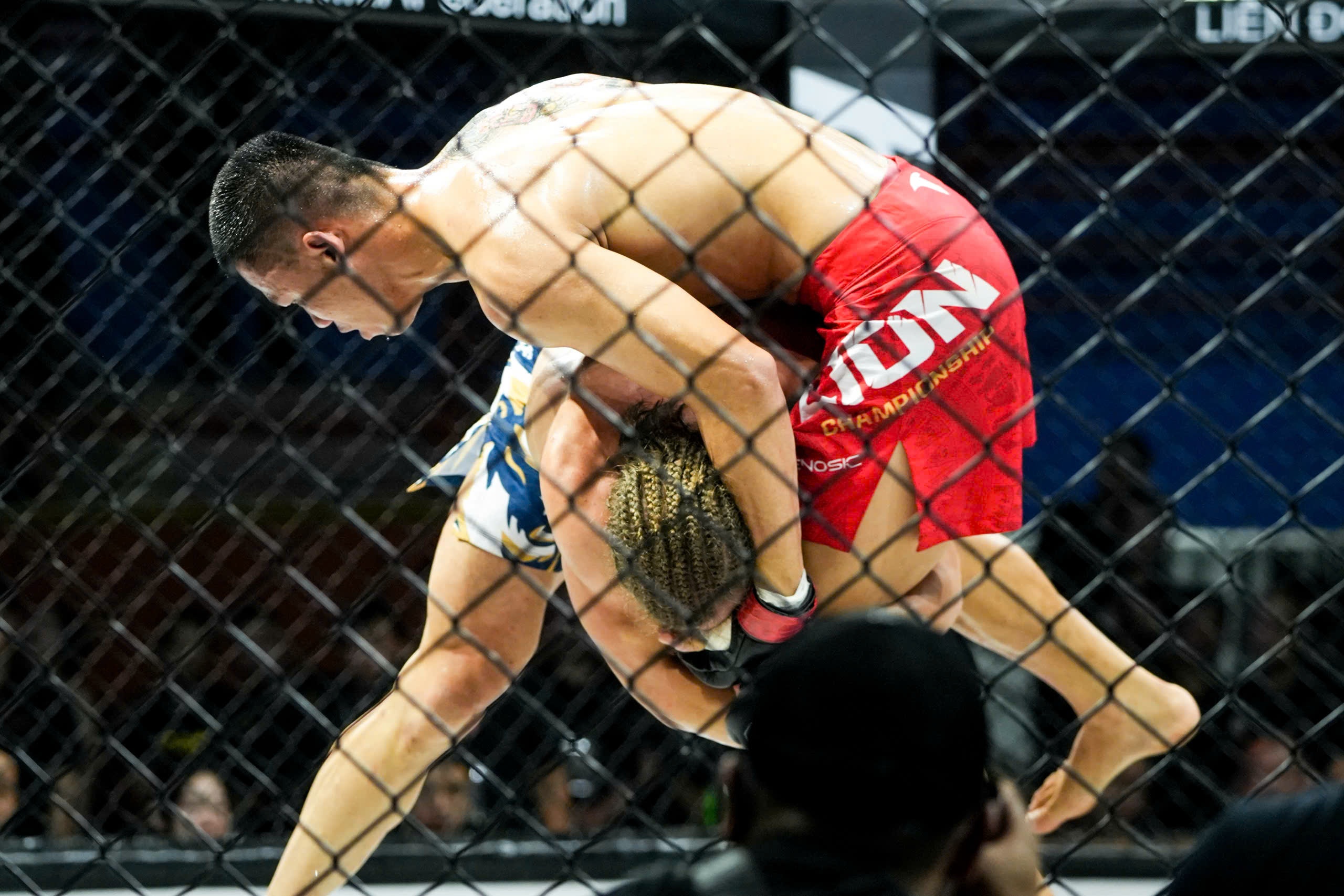 lion championship anh 7