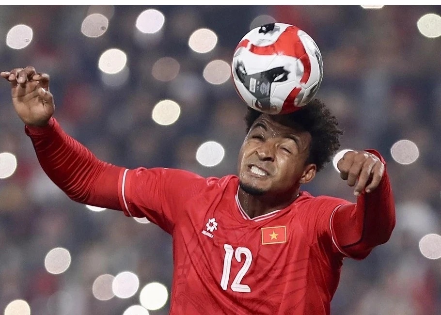 'Mat Xuan Son la ton that lon cho Viet Nam' hinh anh