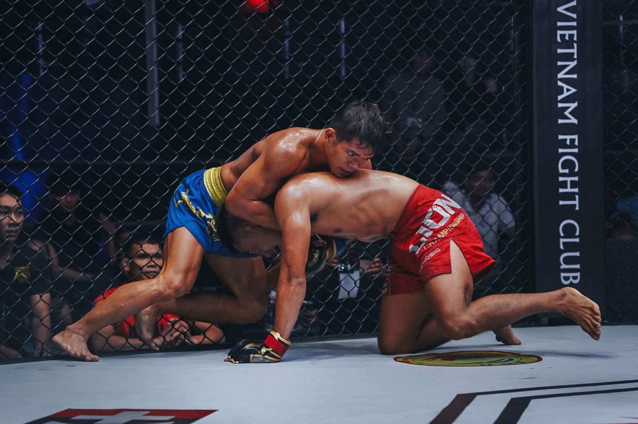 MMA Viet Nam ‘nin tho’ cho ve du Dai hoi The thao tre chau A 2025 hinh anh