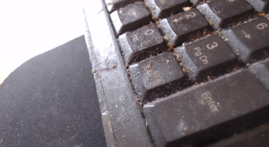 streamer di rua tay giua chung vi ban phim ban anh 3