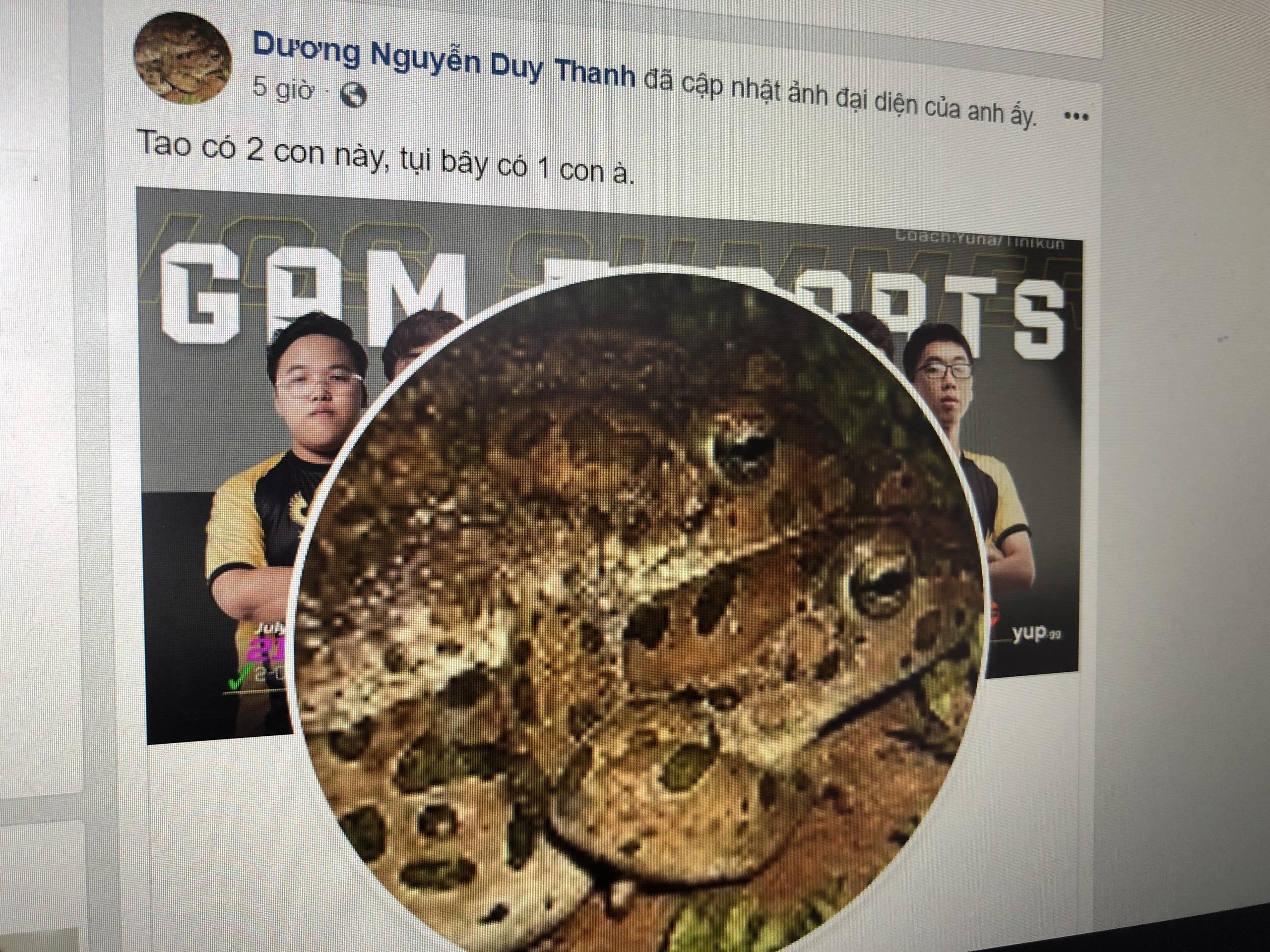 gam va lk khau chien tren mang xa hoi anh 5