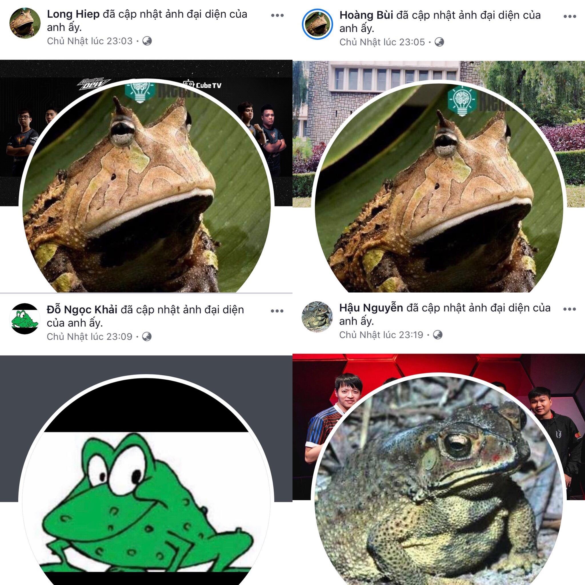 gam va lk khau chien tren mang xa hoi anh 4