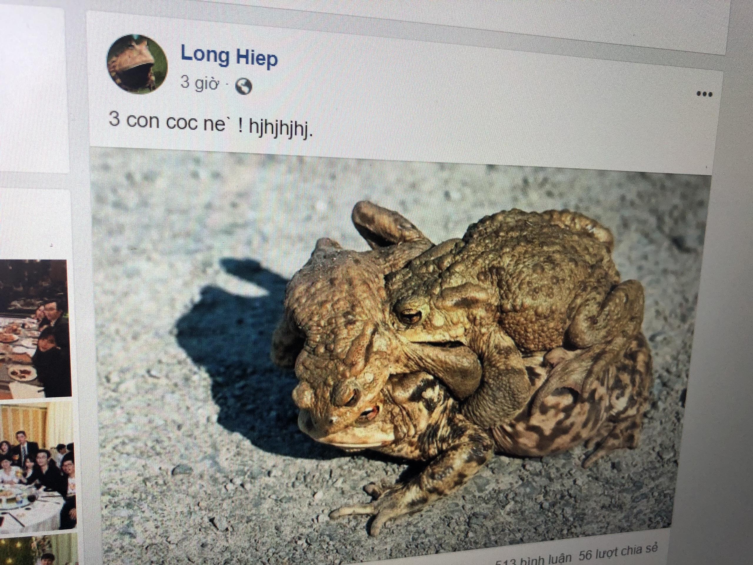 2 tuyen Lien Minh Huyen Thoai lon cua VN 'ca khia' nhau truoc gio dau hinh anh