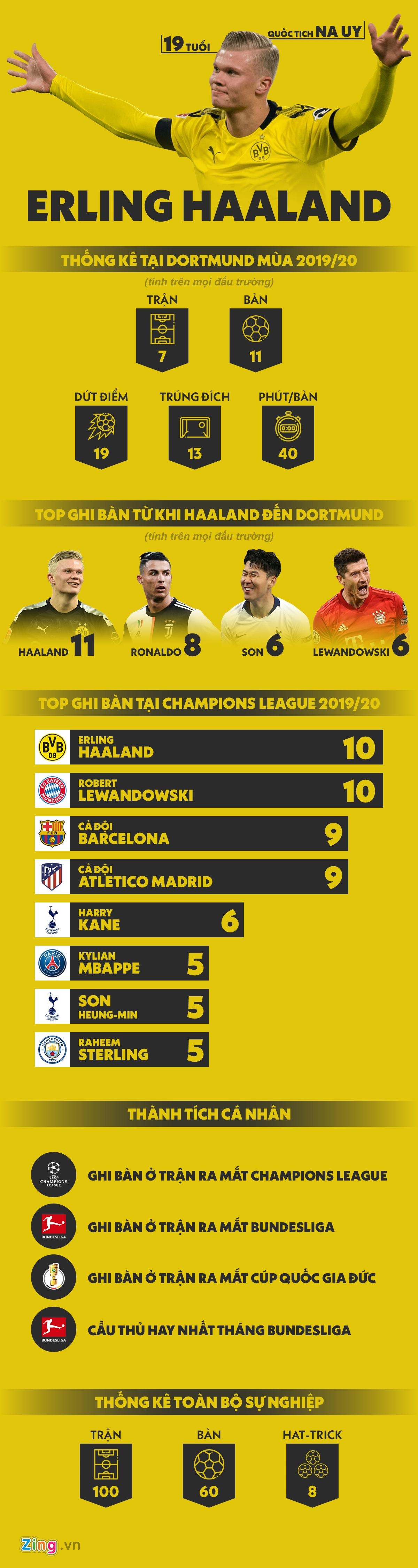 erling haaland anh 1