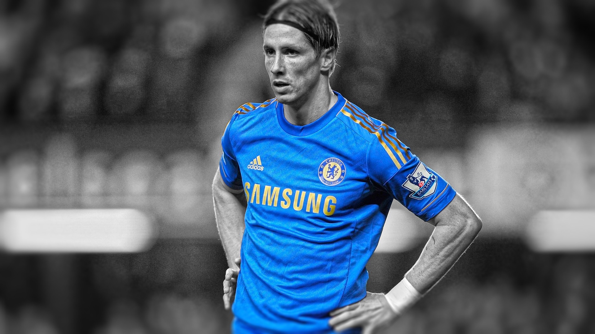 fernando torres anh 1