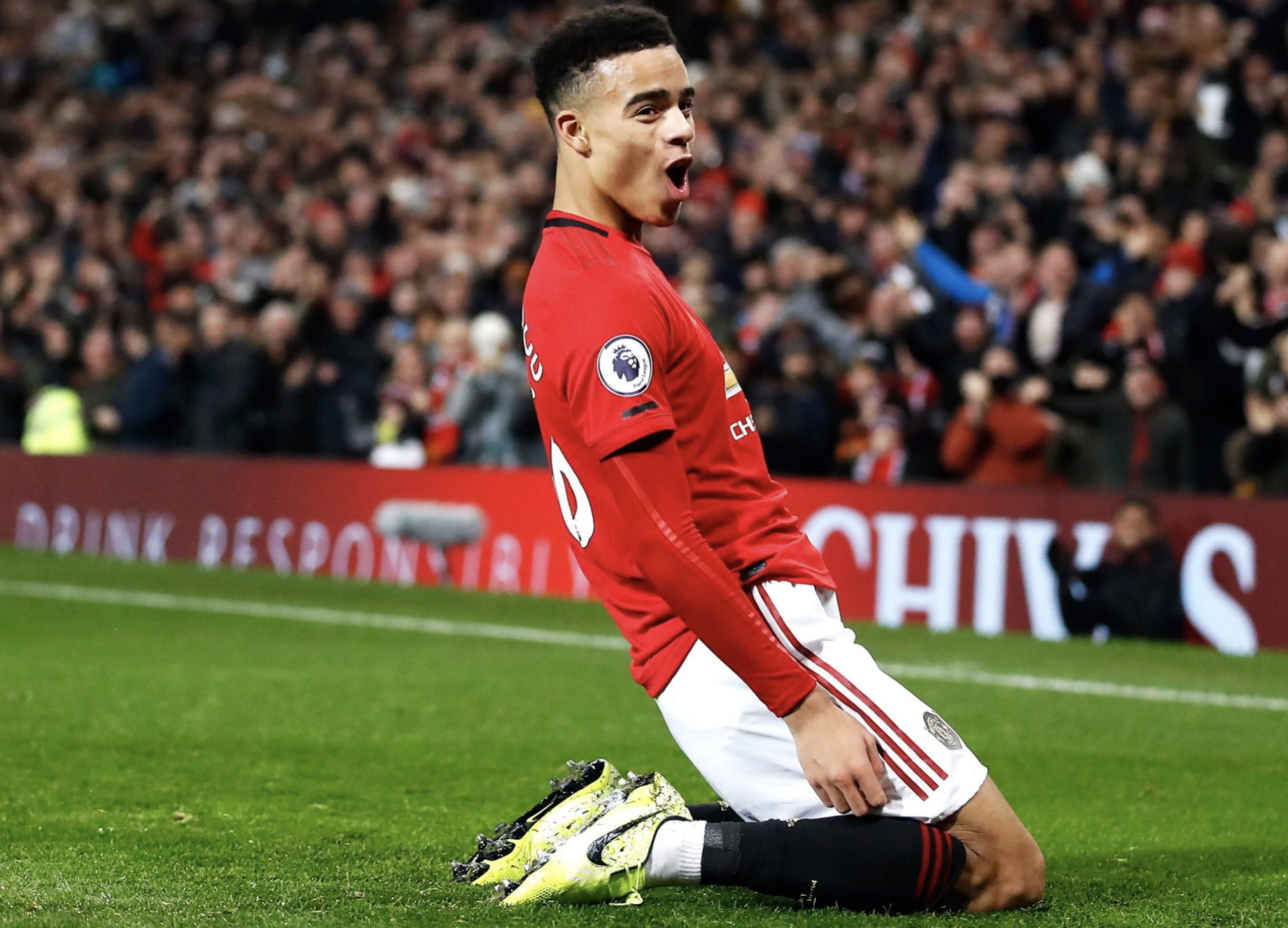 'Greenwood la ac mong cua hau ve doi phuong' hinh anh