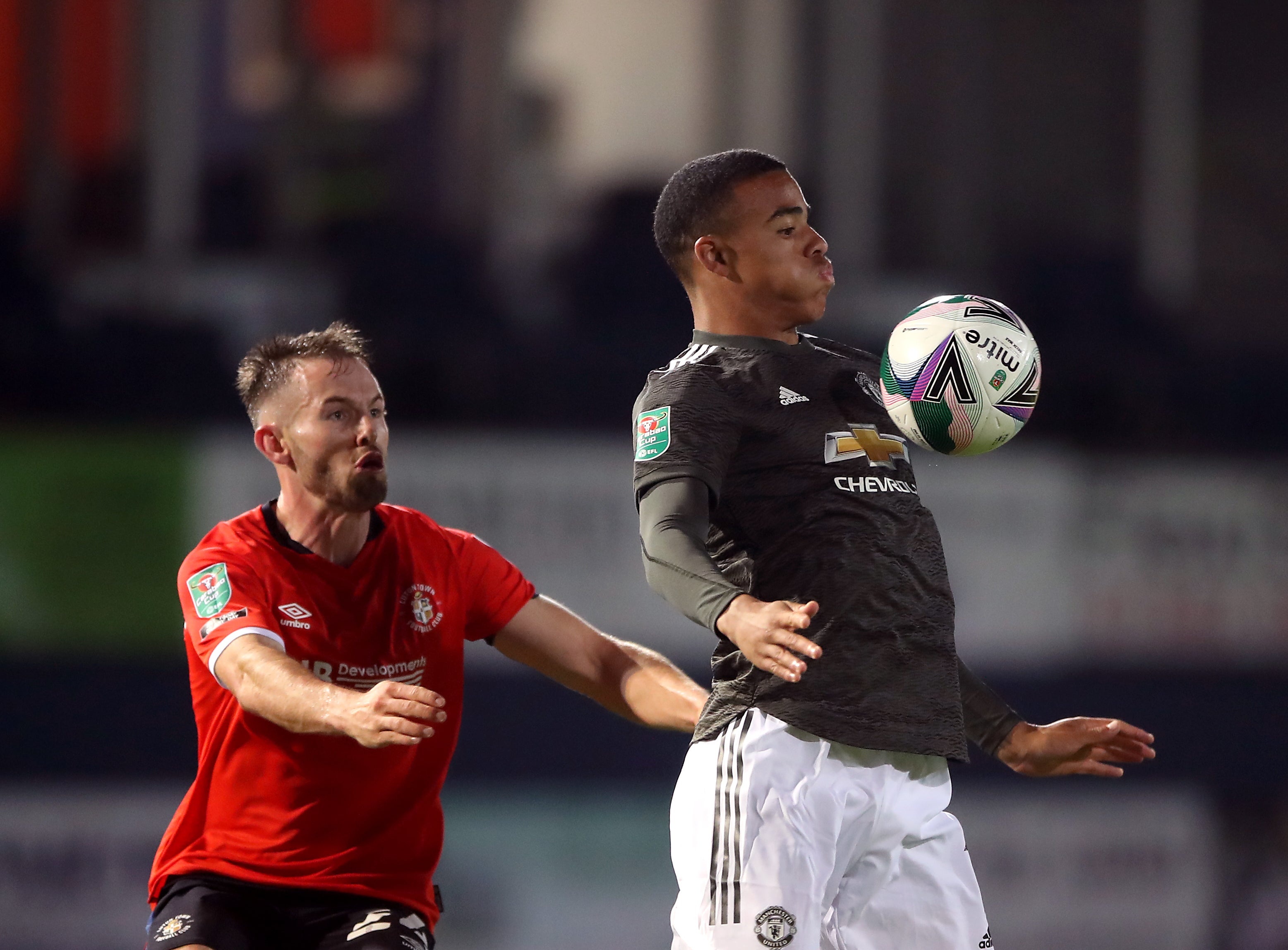 diem yeu cua greenwood anh 1