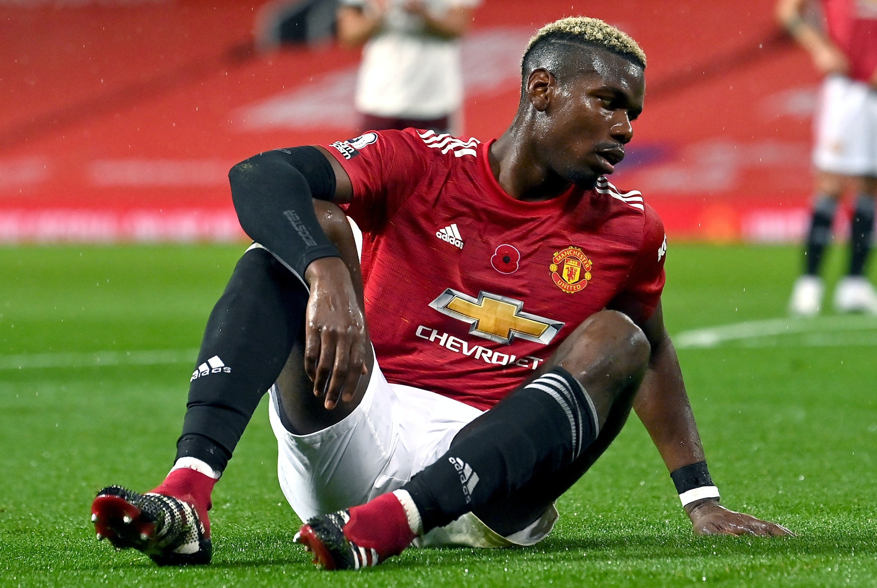 Berbatov: 'MU se khong tiec khi Pogba ra di luc nay' hinh anh