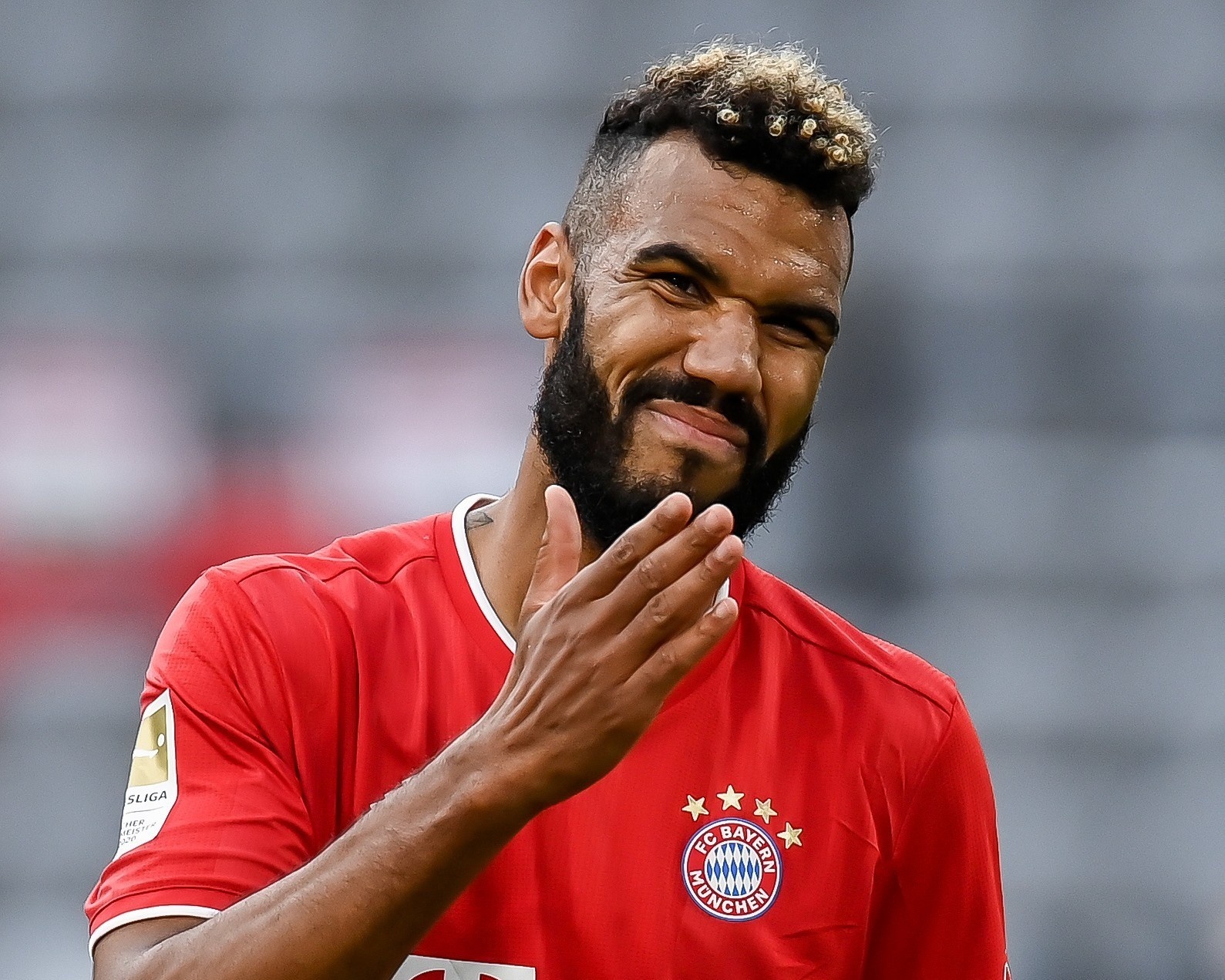 su co cua choupo-moting anh 1