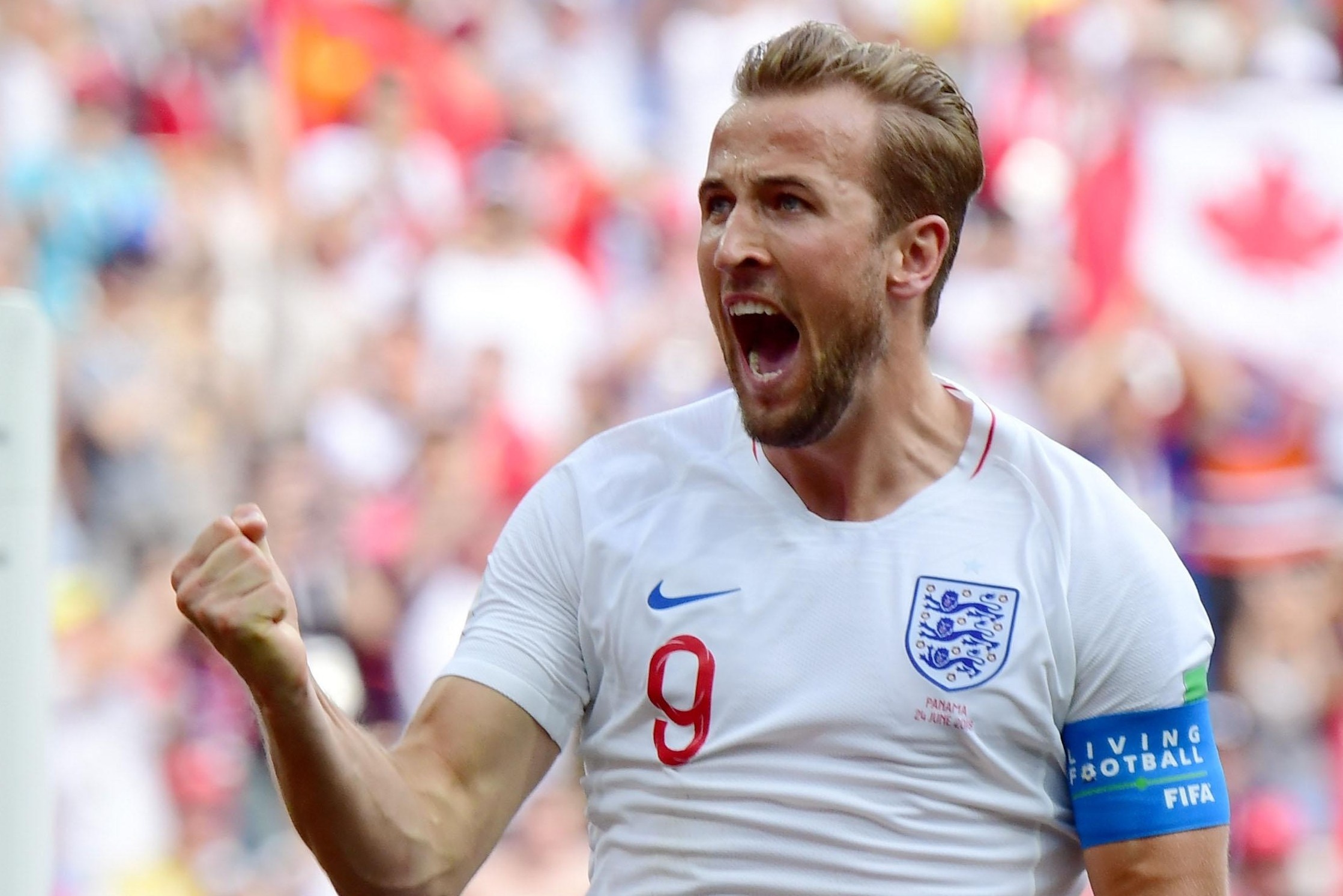 'Tuyen Anh la ung vien vo dich EURO va World Cup' hinh anh