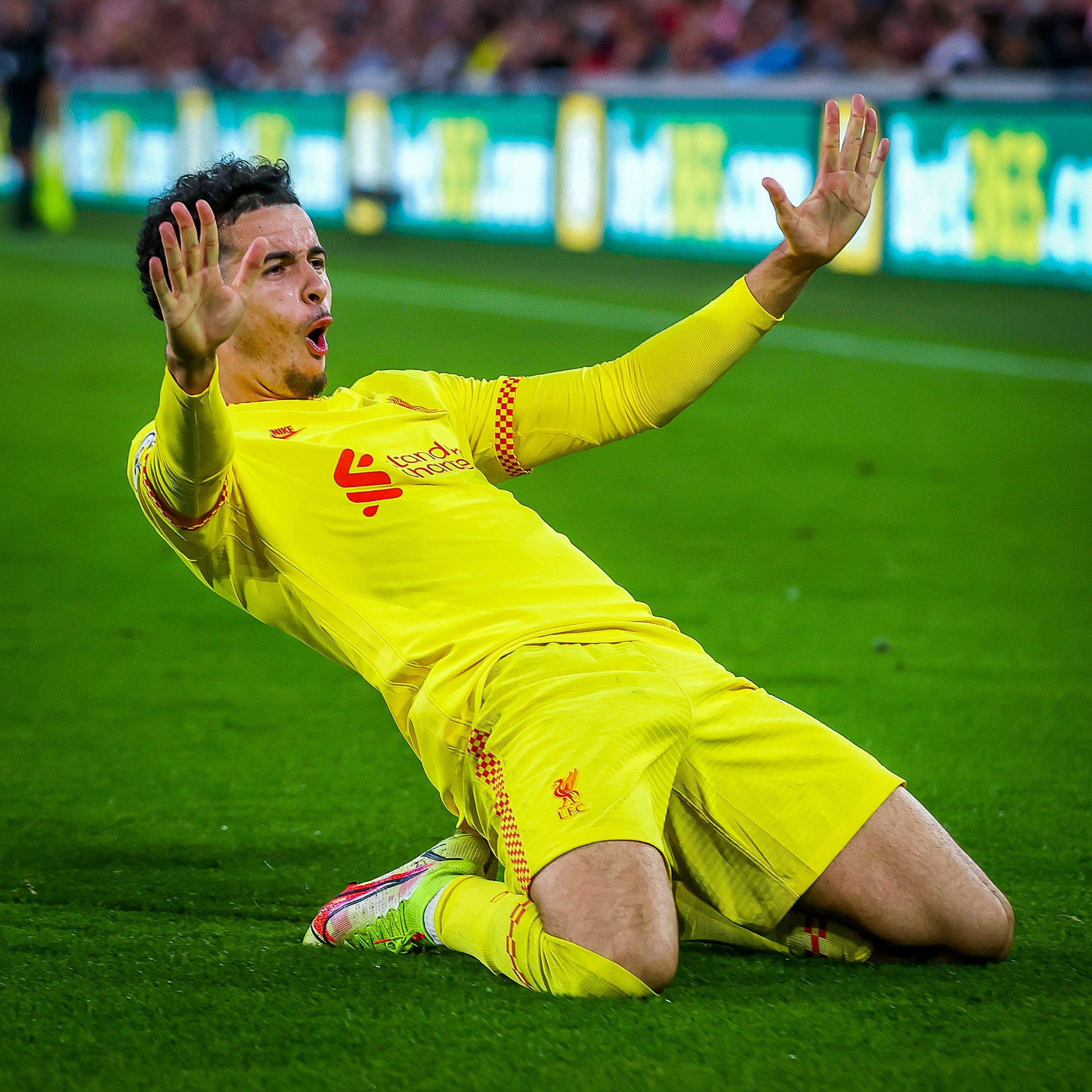 liverpool bi cam hoa anh 7