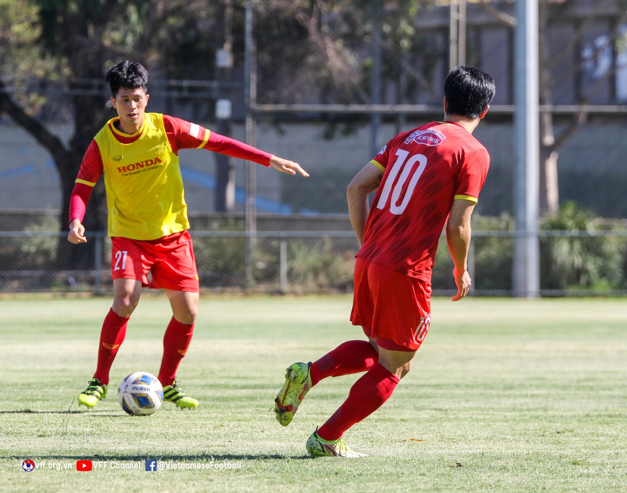 tuyen viet nam dau doi khang anh 5