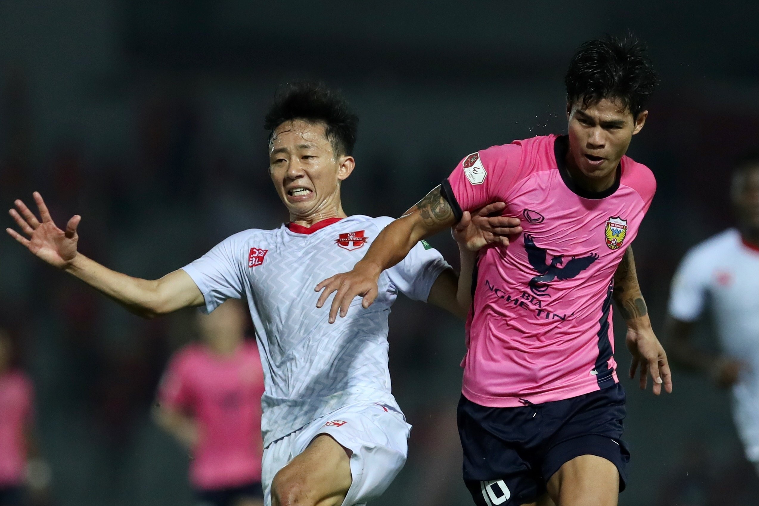 Ha Tinh cam hoa doi nhi bang Hai Phong hinh anh