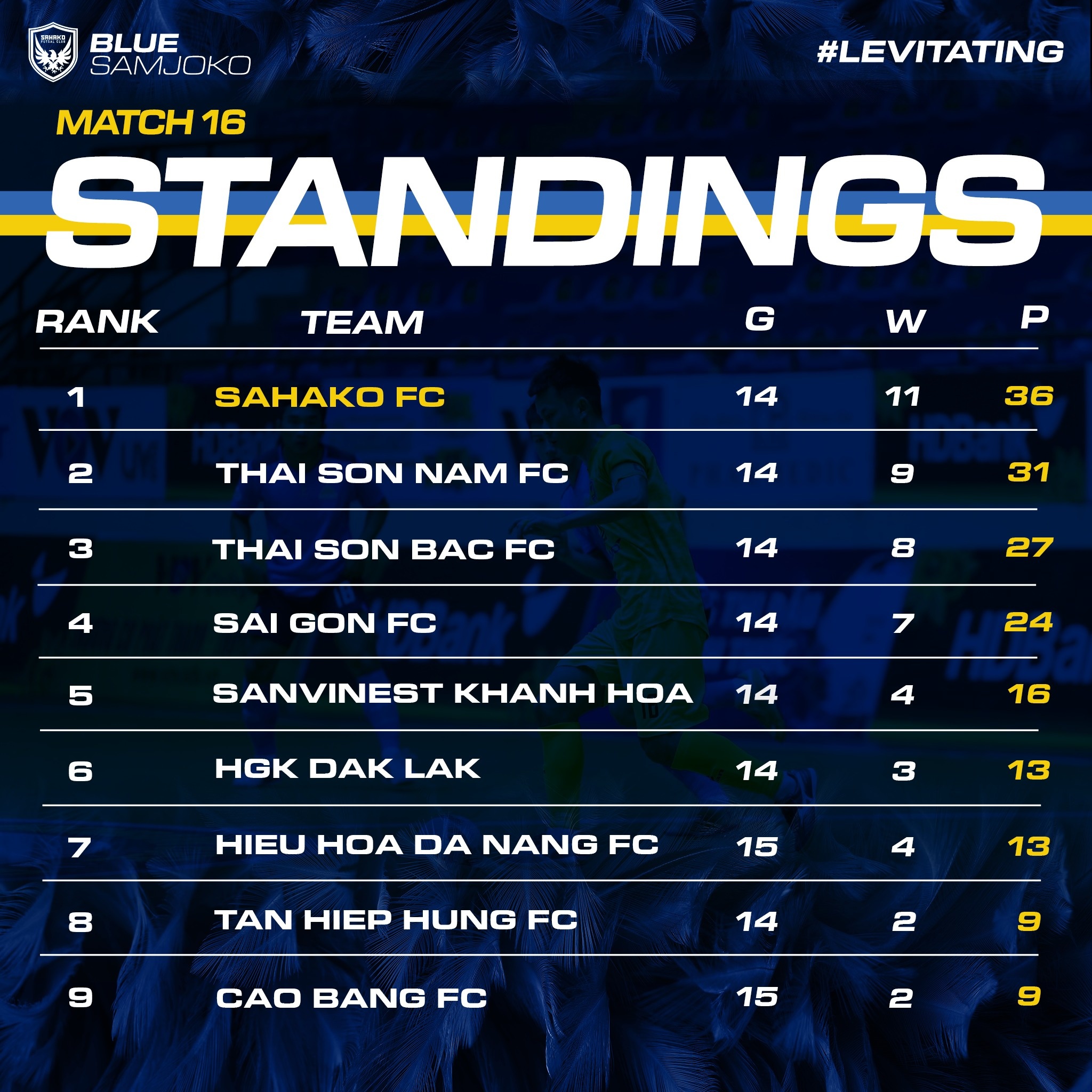 futsal viet nam anh 1