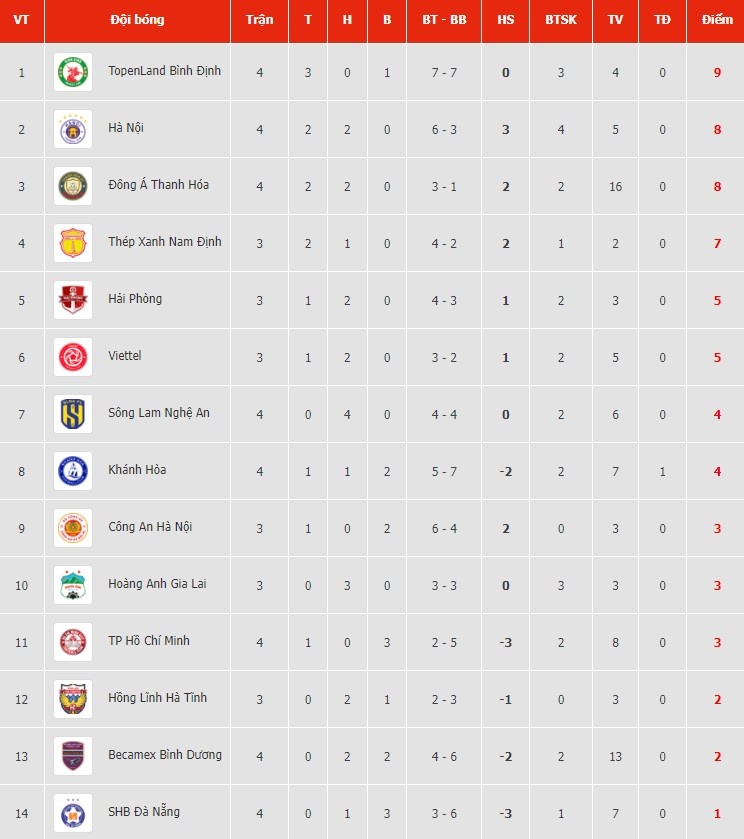 da nang vs binh dinh anh 1