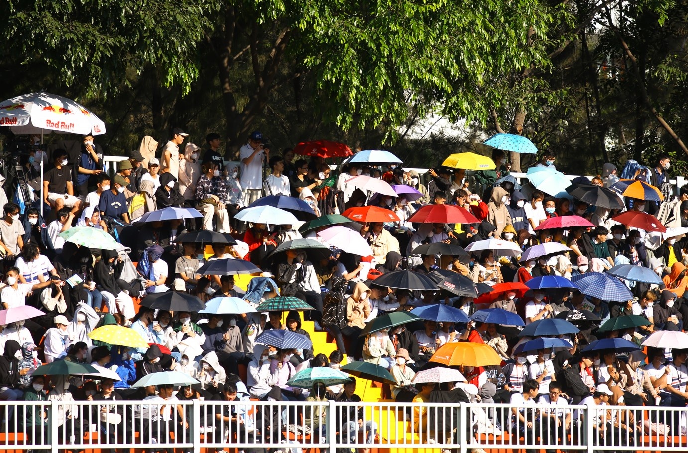 giai sinh vien anh 6