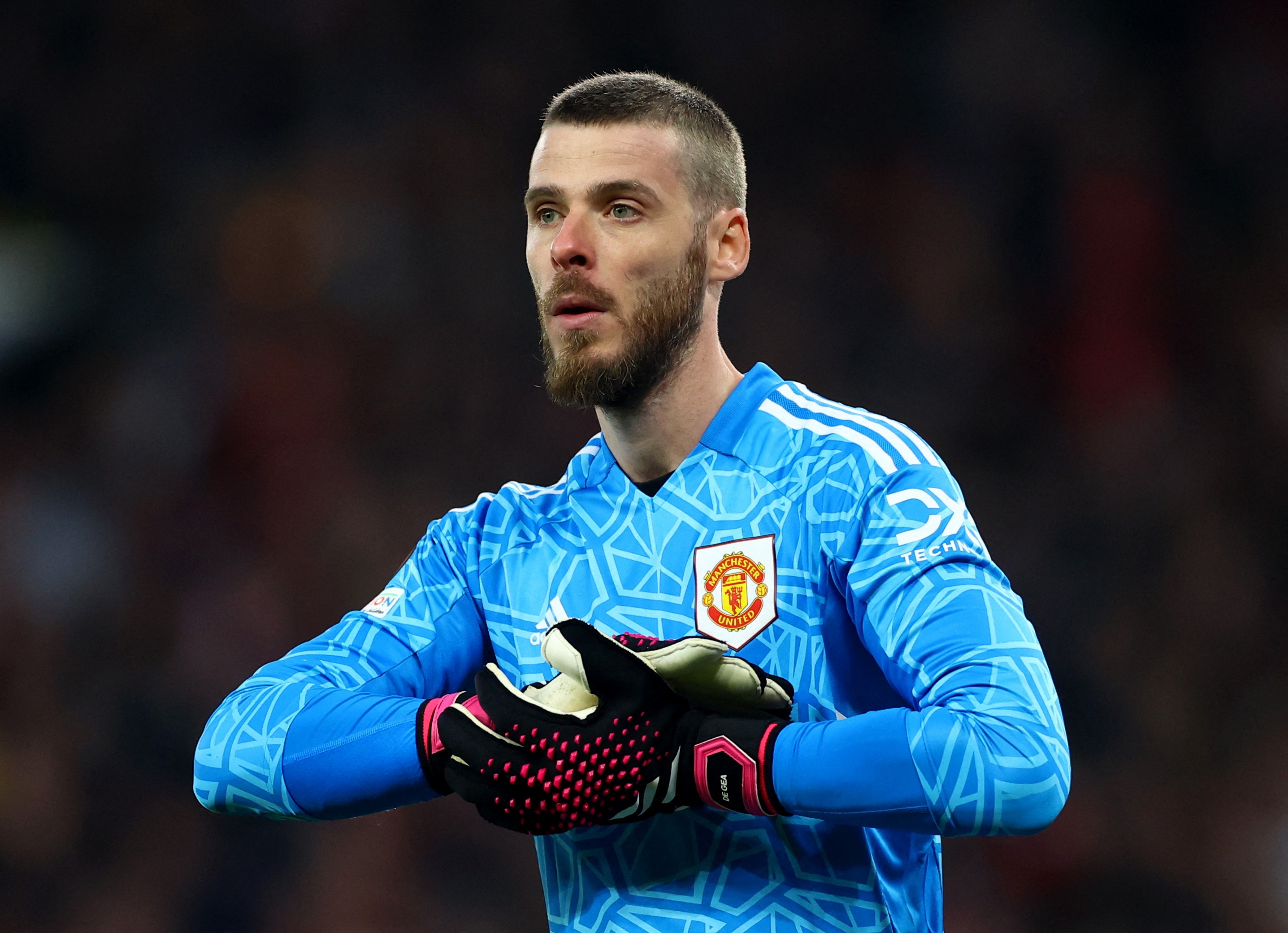 Ten Hag bao ve, khen De Gea hoan hao hinh anh