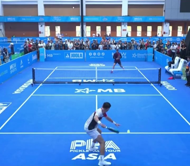 PPA,  pickleball,  ly hoang nam,  christian alshon anh 1