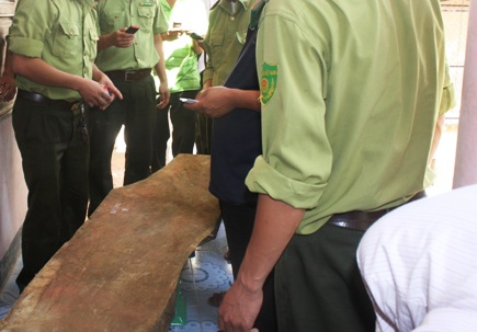 Di cau ca, vot duoc cay sua tri gia 20 ty hinh anh