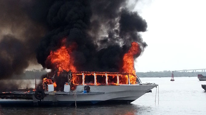 Tau canh ngam 'tre' nhat Viet Nam da 19 nam tuoi hinh anh