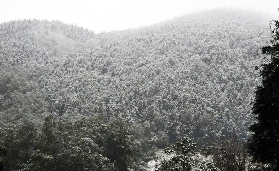 Nhiet do mien Bac giam sau, xuat hien mua rao trai mua hinh anh