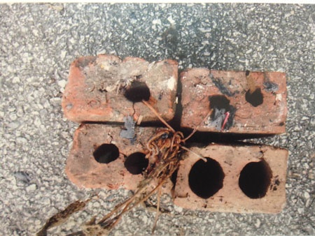 Nhan 'dat hang' 40 trieu dong, chem da man mot phu nu hinh anh