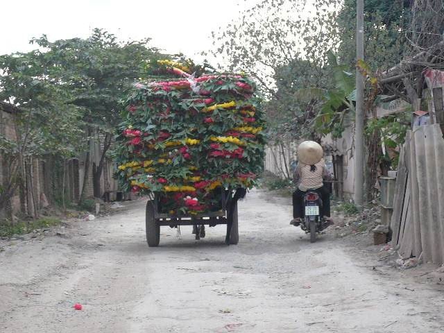 Ky nghe quay vong doi hoa dam tang hinh anh