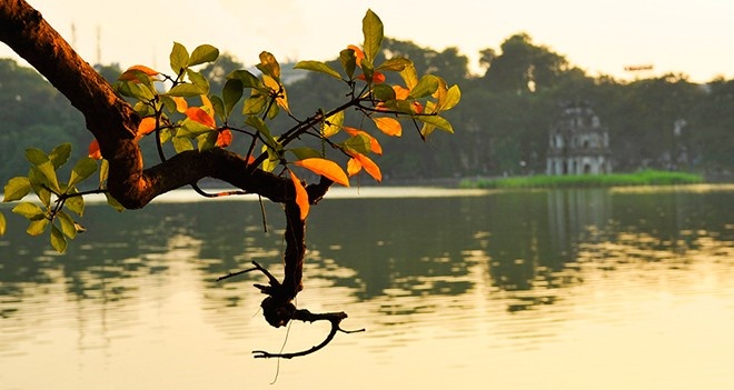 Cuoi tuan, Ha Noi nang nong 30 do hinh anh