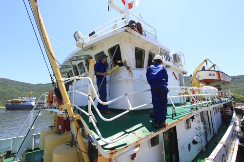 Tau Trung Quoc nem 'mua' da, chai lo sang tau Viet Nam hinh anh