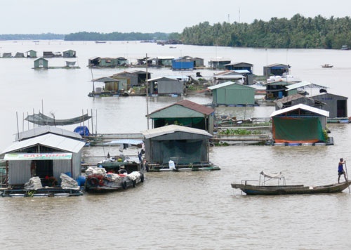 Doan cuong che bi dan dung ghe vay tren song hinh anh