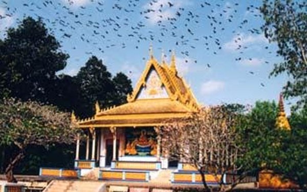 Ky la chuyen heo 'thanh tinh bao oan' o chua Doi hinh anh