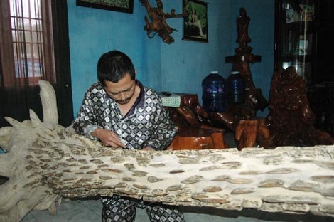 Tram bac ty, thu choi thuong luu xu Hue hinh anh