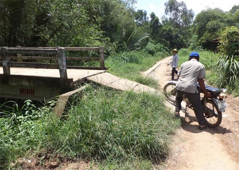 Cay cau 'ky cuc' o mot xa nong thon moi hinh anh