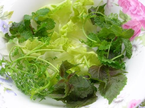 Mua benh vi an rau chua nau chin hinh anh