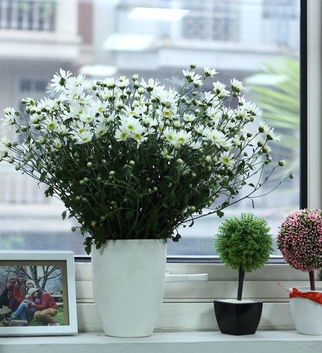 Cam hoa tuoi can than ruoc doc to vao nha hinh anh