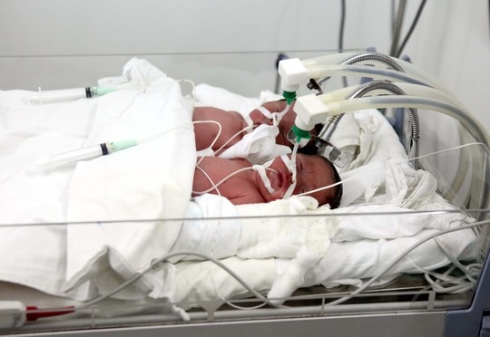 Ca dieu tri hiem muon sinh 4 hiem gap hinh anh