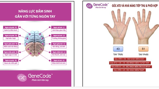 'Soi' van tay, phat hien som chung bieng an, tu ky hinh anh