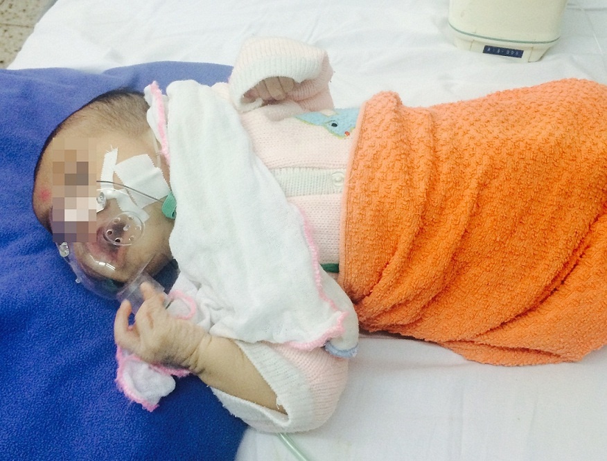 Ho ga dang vao mua cao diem hinh anh