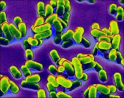 Nhung dot pha cua loai nguoi sau dai dich 'Cai chet den' hinh anh