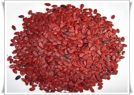 Cach chon hat dua an toan ngay Tet hinh anh