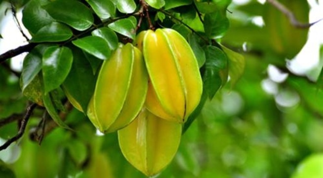 Khe chua nhieu benh hinh anh