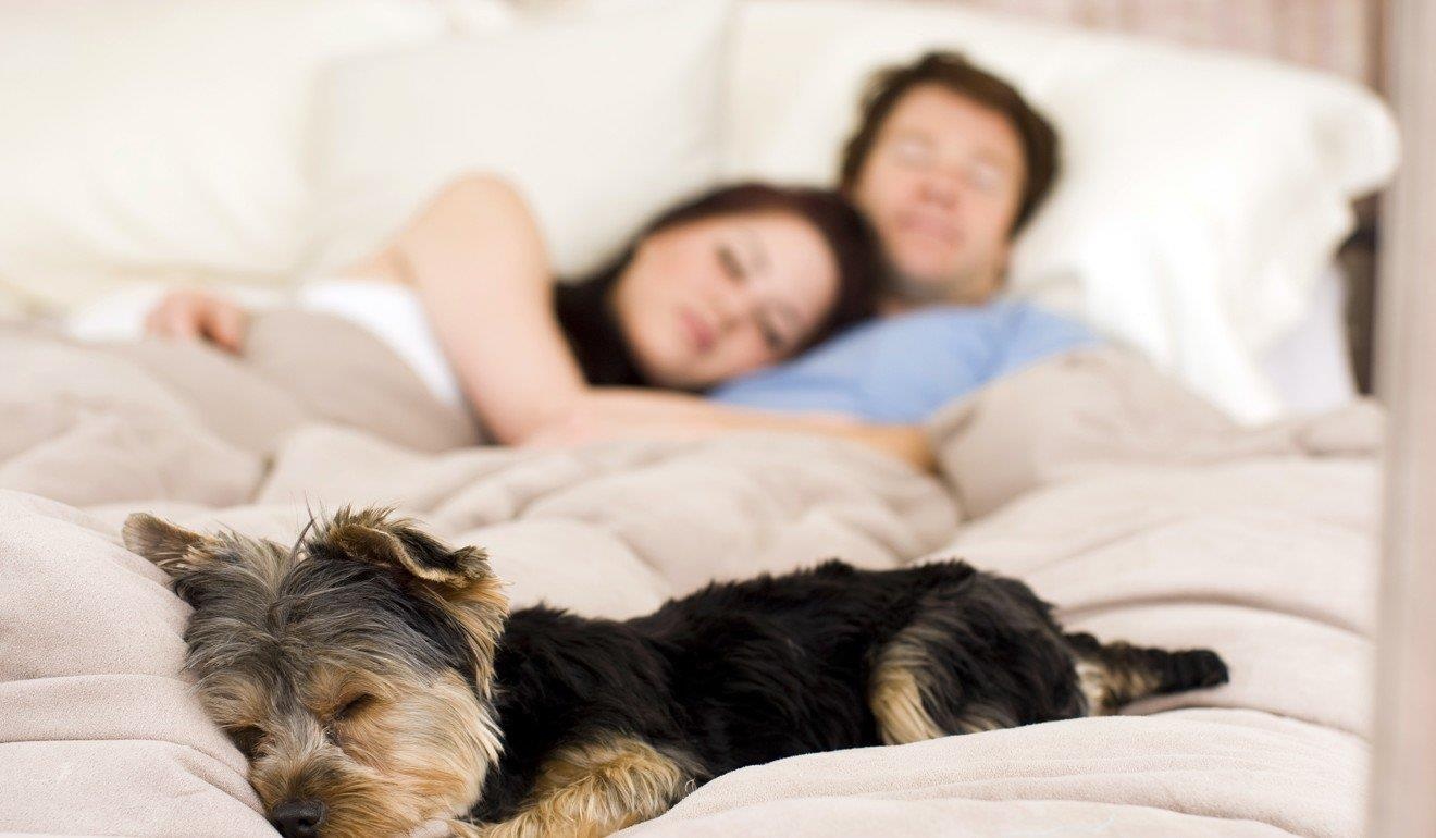 hẹn hò trên Tinder ảnh 2 hen ho tren Tinder anh 2