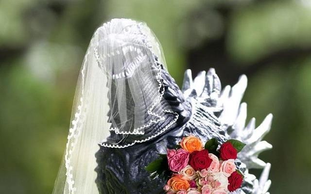 Nhung co dau 'hoa thu', 'noi dien', hach sach vao ngay cuoi hinh anh