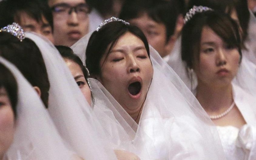 'Toi di an cuoi nao biet mat co dau chu re, chi toi tra no' hinh anh