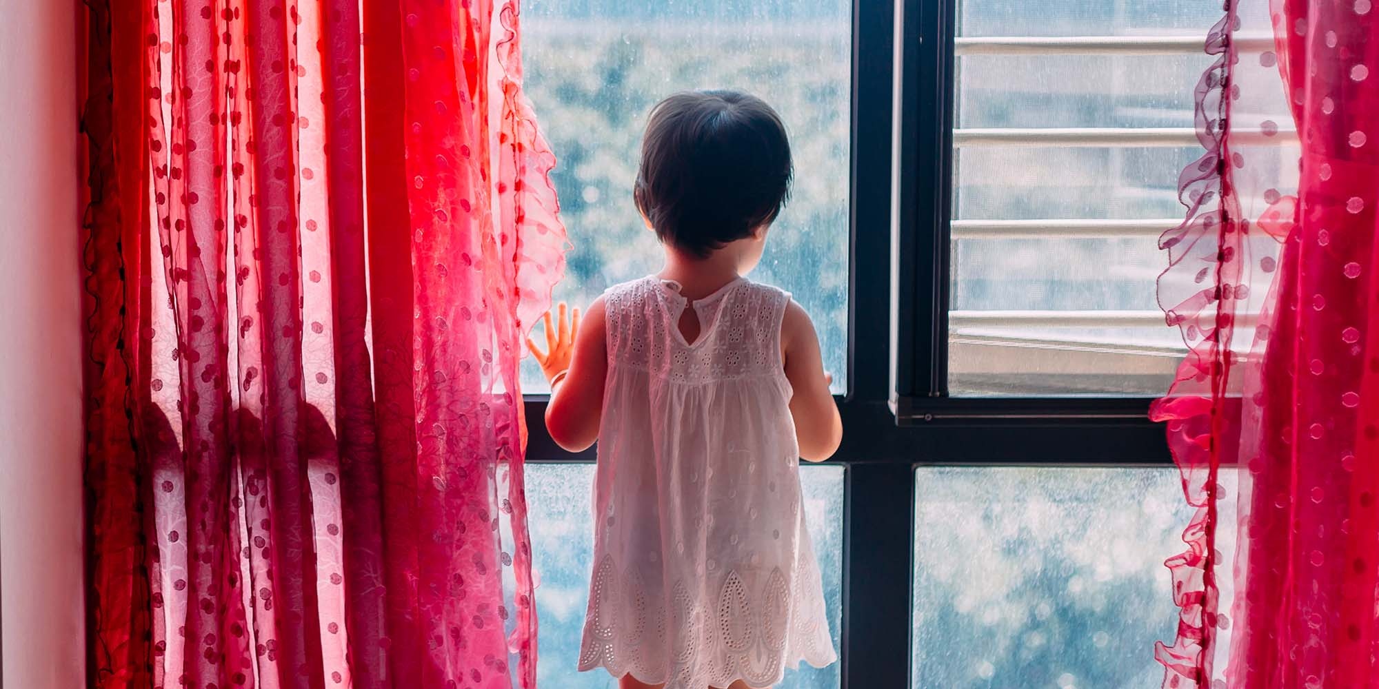 de con o nha mot minh anh 1