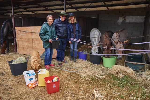 chay rung o Australia anh 7