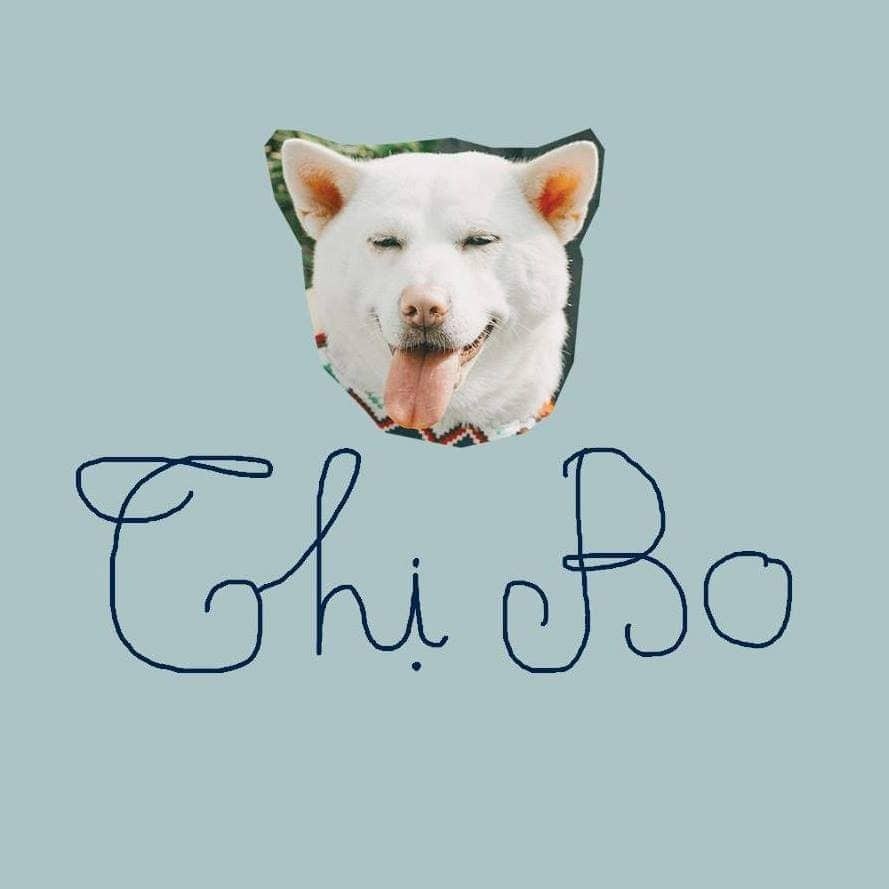 bat trend gucci anh 8