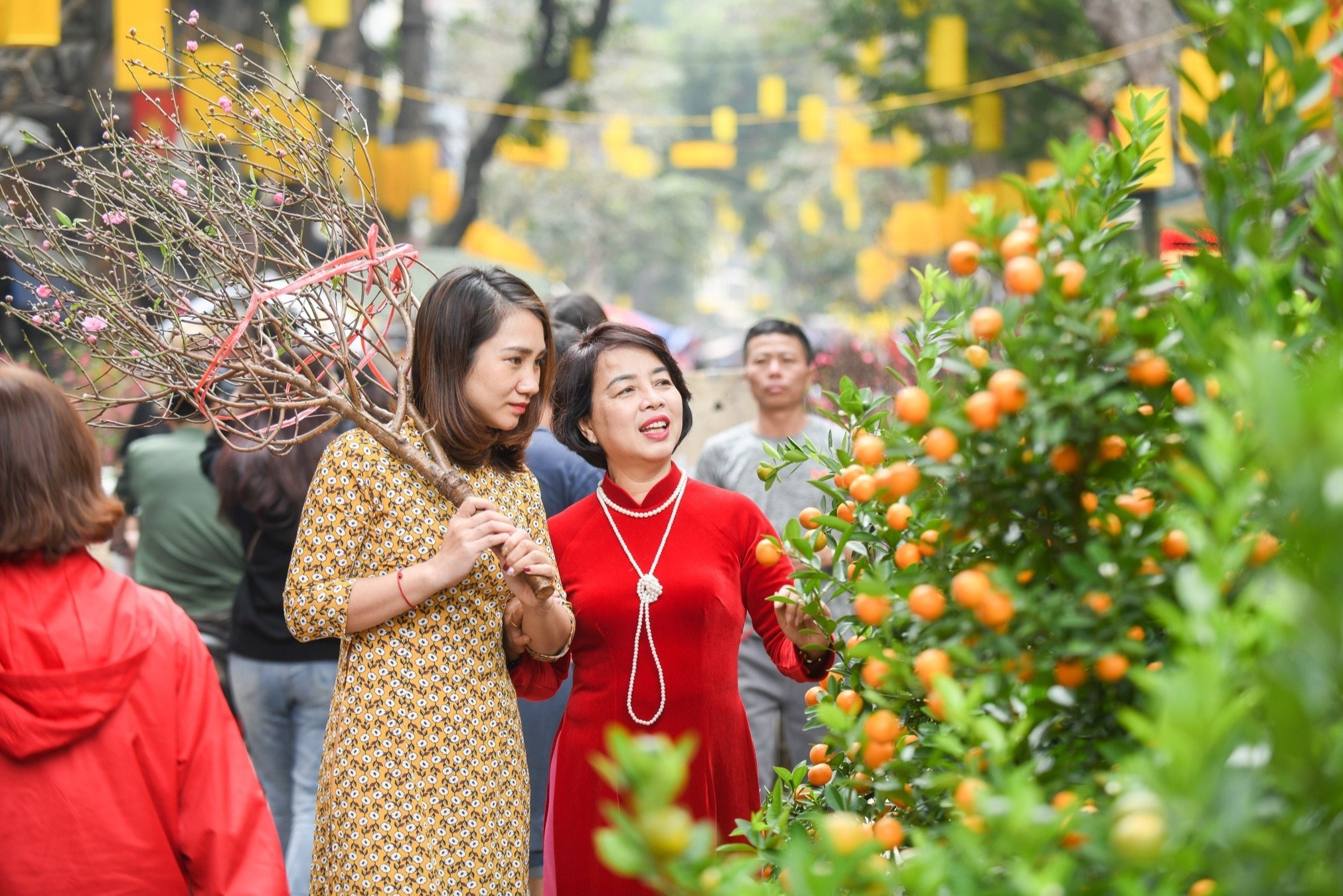 Tieu chi chon nguoi xong dat cho nam moi van su hanh thong hinh anh
